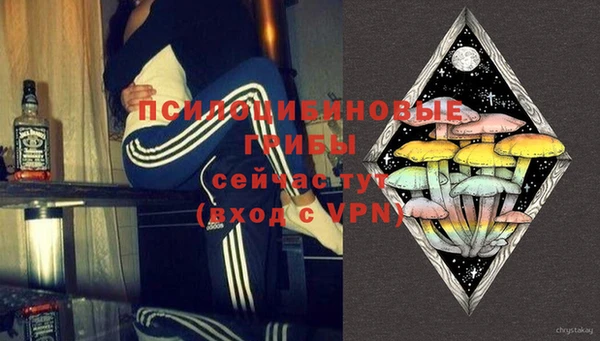 герыч Пересвет