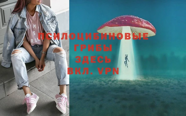 герыч Пересвет
