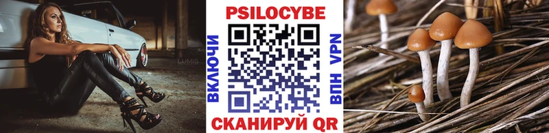 Псилоцибиновые грибы Psilocybine cubensis  цена   omg ссылки  Нягань 